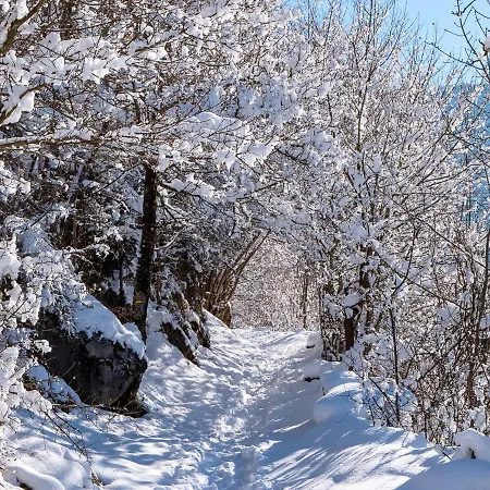 Gitamiglos Gites Tatil Evi